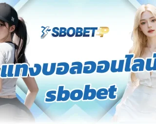คนบ้าบอลและชอบ แทงบอลออนไลน์ sbobet คงจินตนาการถึงการเล่นแล้วได้กำไรเยอะๆ มีโอกาสชนะมากกว่าเดิม บอกเลยว่า SBOBETP